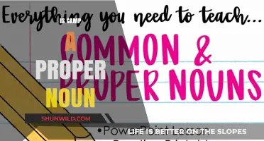 Is 'Camp' a Proper Noun? Exploring Grammar and Usage