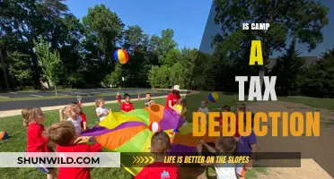 Can Summer Camp Fees Be Claimed as a Tax Deduction?