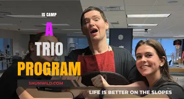Is Camp a Trio Program? Exploring the Dynamics and Structure