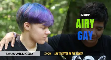 Is Camp Airy LGBTQ+ Friendly? Exploring Inclusivity and Community