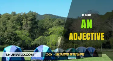 Is Camp an Adjective? Exploring Its Meaning and Usage in Modern Culture