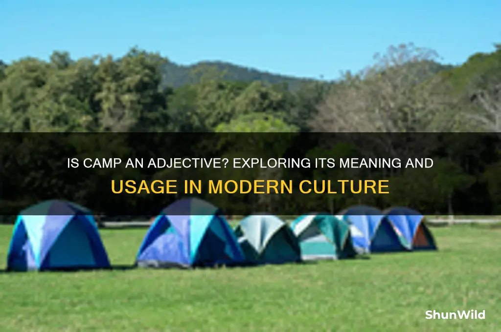 is camp an adjective