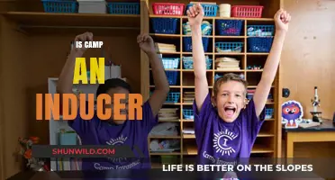 Exploring the Role of Camp as an Inducer in Creative Expression