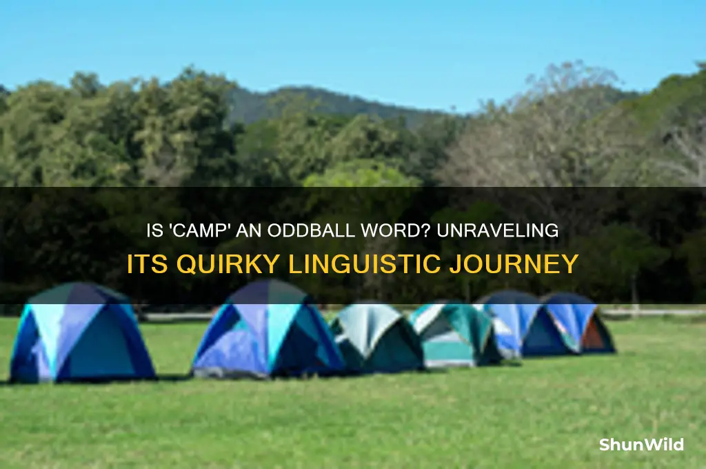 is camp an oddball word