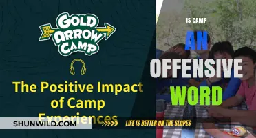 Is 'Camp' Offensive? Unpacking the Word's Cultural and Social Implications