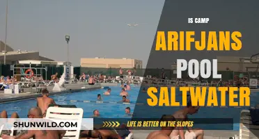 Is Camp Arifjan's Pool Saltwater? Uncovering the Truth About Its Water