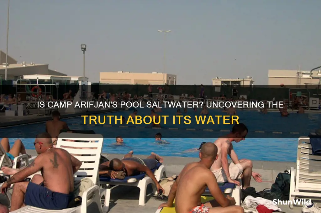 is camp arifjans pool saltwater
