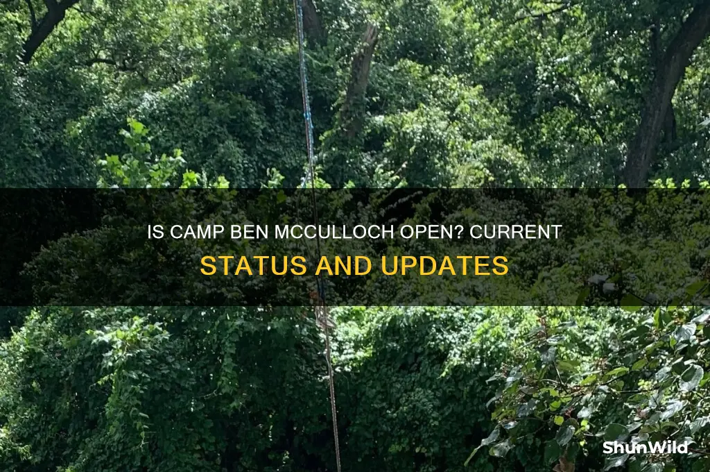 is camp ben mcculloch open
