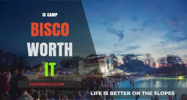 Is Camp Bisco Worth It? Pros, Cons, and Honest Insights