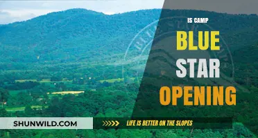 Is Camp Blue Star Opening? Updates and What to Expect