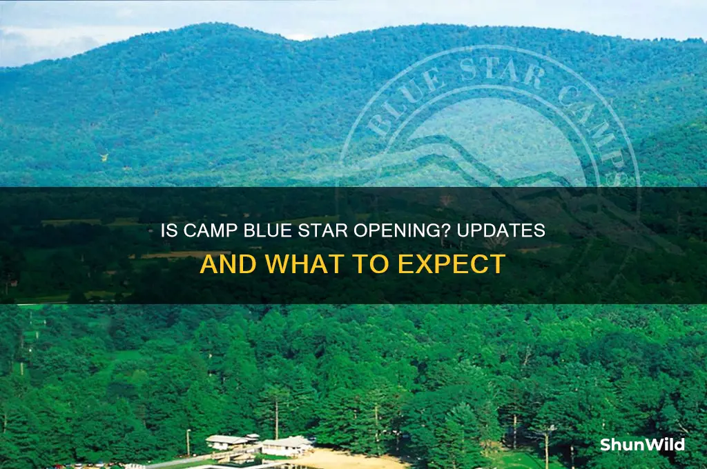 is camp blue star opening