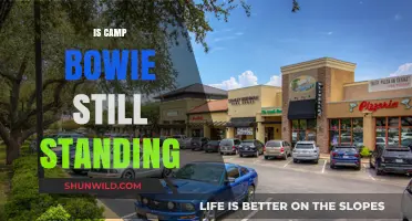 Is Camp Bowie Still Standing? Exploring Its Legacy and Current Status
