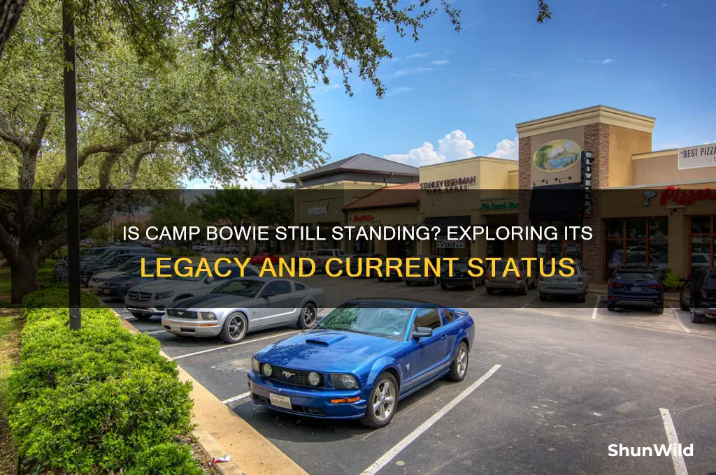 is camp bowie still standing