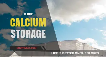 Is Camp Calcium a Reliable Storage Solution for Your Needs?