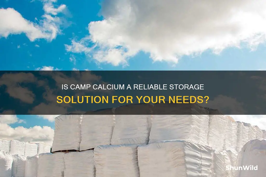 is camp calcium storage