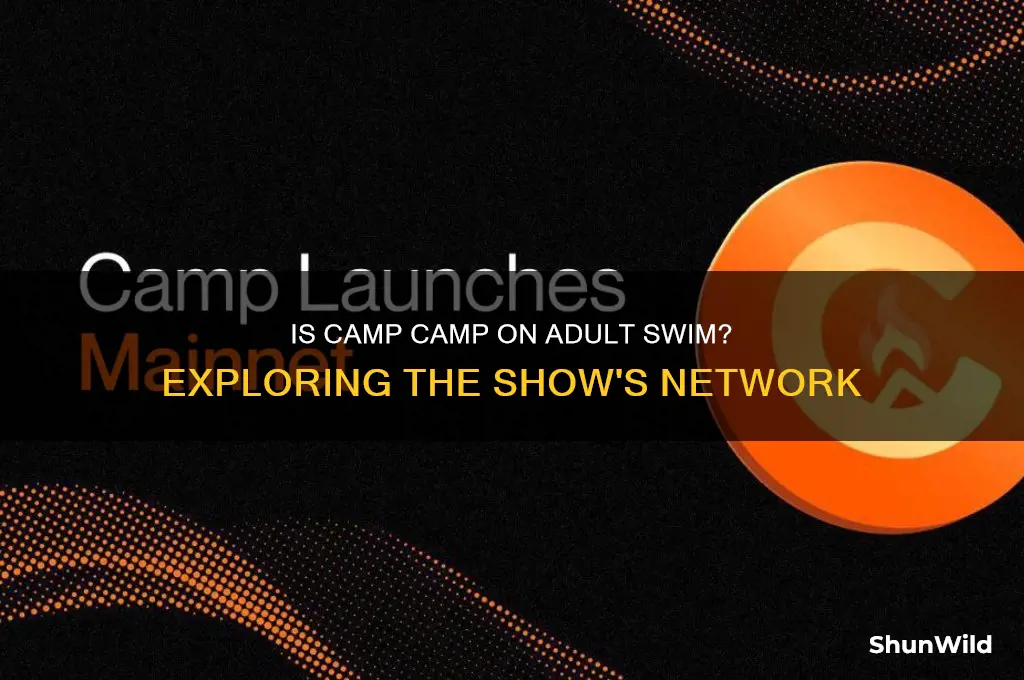 is camp camp adult swim