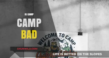 Is Camp Camp Bad? Exploring the Show's Humor and Themes