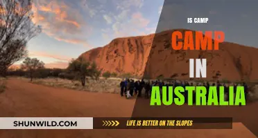 Exploring Camp Camp's Setting: Is It Really in Australia?