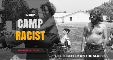 Is Camp Camp Racist? Analyzing Representation and Stereotypes in the Series
