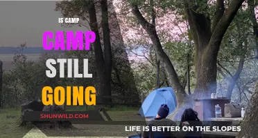 Is Camp Camp Still Running? Updates on the Beloved Series