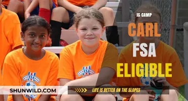 Is Camp Carl FSA Eligible? Understanding Dependent Care Benefits