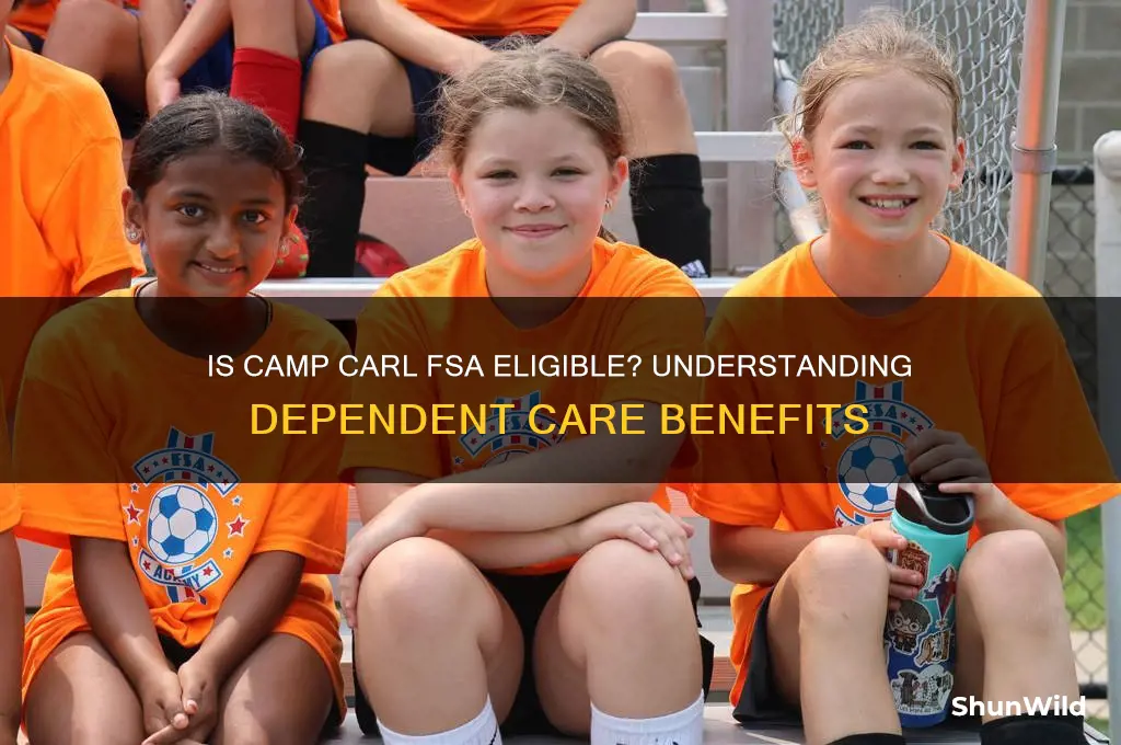 is camp carl fsa eligible