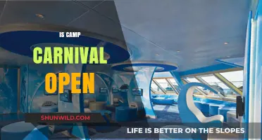 Is Camp Carnival Open? Your Ultimate Guide to Carnival Cruise Fun