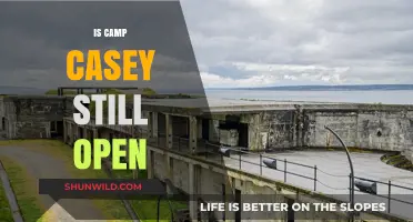 Is Camp Casey Still Open? Current Status and Updates