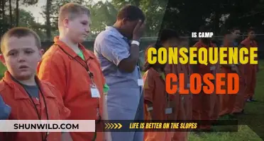 Is Camp Consequence Closed? Updates and Future Plans Revealed