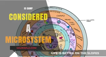 Is Camp a Microsystems? Exploring Ecological Systems Theory in Summer Camps