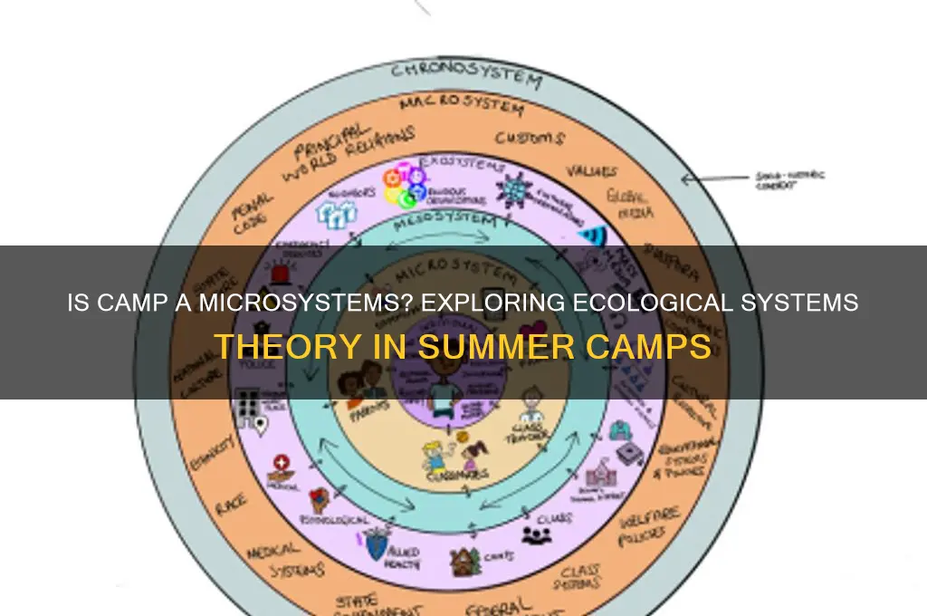 is camp considered a microsystem