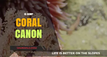 Is Camp Coral Canon? Exploring SpongeBob's Spin-Off Continuity