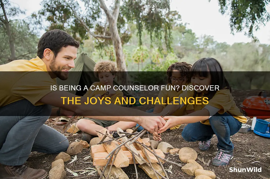 is camp counselor fun
