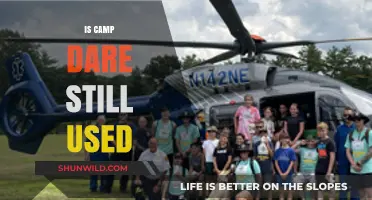Is Camp Dare Still in Use Today? Exploring Its Current Status
