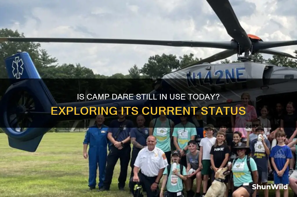 is camp dare still used