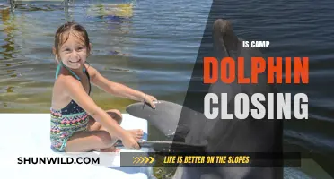 Is Camp Dolphin Closing? Unraveling the Truth Behind the Rumors