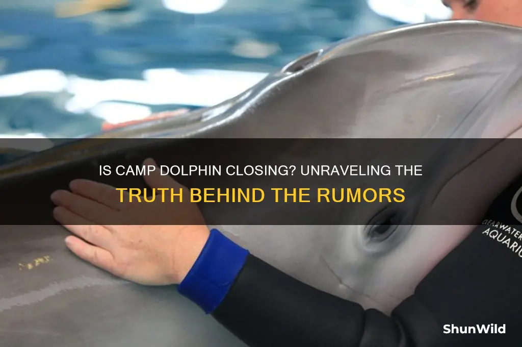 is camp dolphin closing