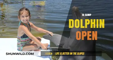 Is Camp Dolphin Open? Latest Updates and Visitor Information