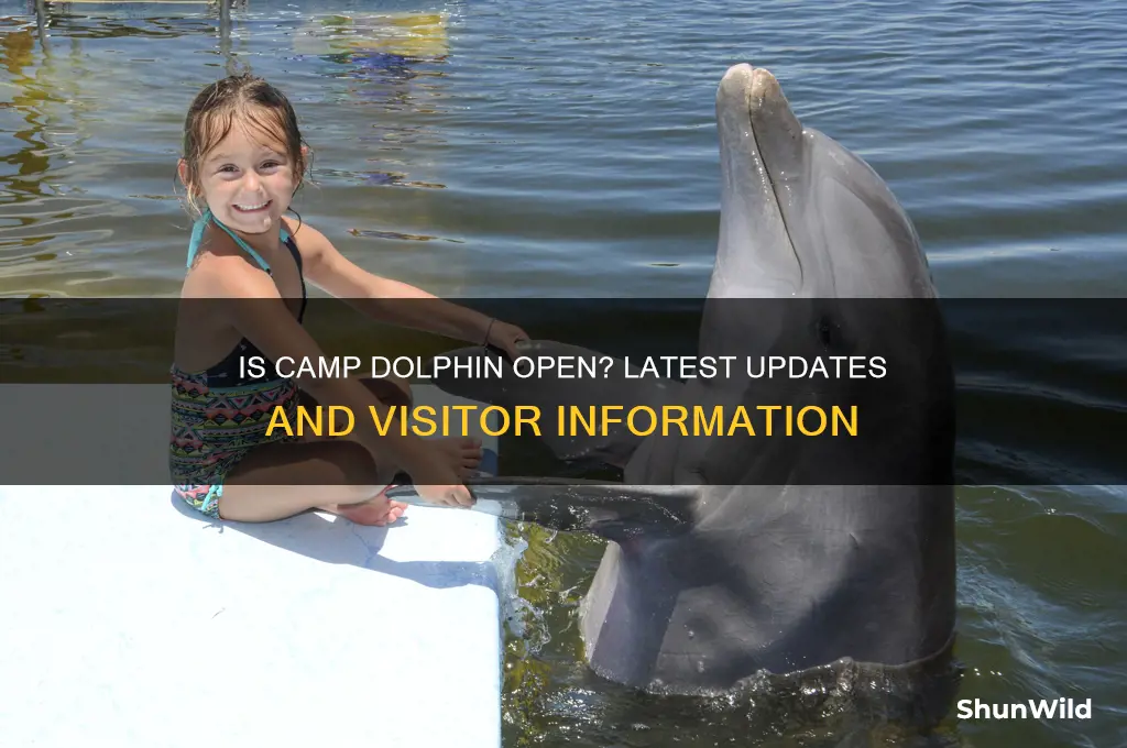 is camp dolphin open
