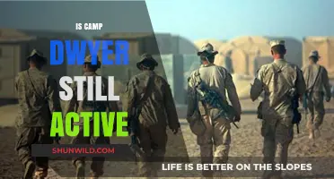 Is Camp Dwyer Still Active? Current Status and Operations Revealed