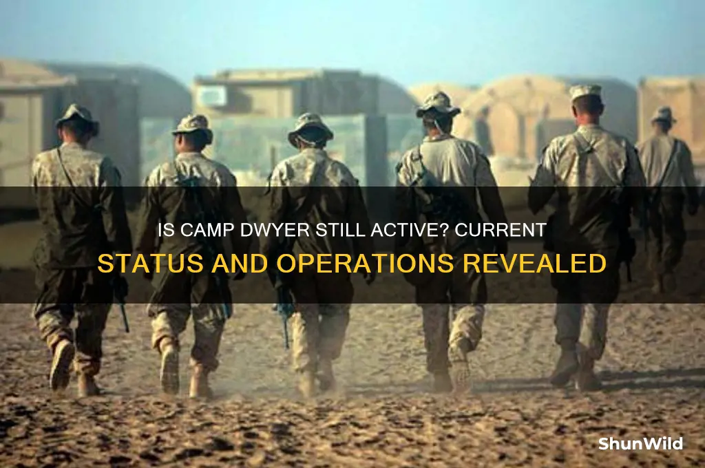 is camp dwyer still active