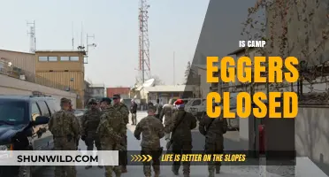 Is Camp Eggers Closed? Current Status and Future Plans Explained