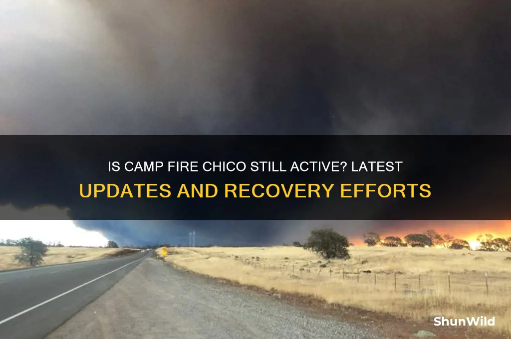 is camp fire chico out