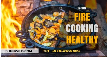 Campfire Cooking: Healthy Benefits or Hidden Health Risks?