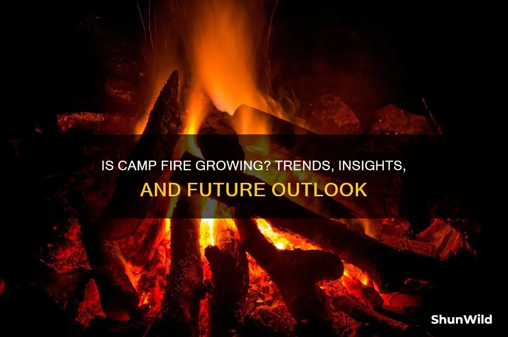 is camp fire growing