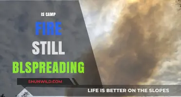 Is the Camp Fire Still Spreading? Latest Updates and Safety Tips