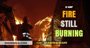 Is the Camp Fire Still Smoldering? Unraveling the Aftermath and Recovery