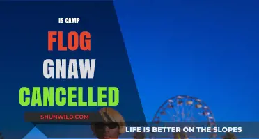 Is Camp Flog Gnaw Cancelled? Latest Updates and Rumors Explained