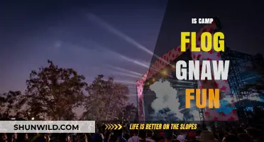 Is Camp Flog Gnaw Carnival Worth It? A Fun-Filled Review