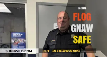 Is Camp Flog Gnaw Safe? A Comprehensive Guide to Festival Security